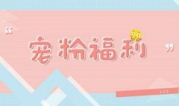 宠粉福利爆料视频,视频爆料带你领略独家福利盛宴